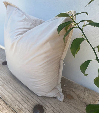 Brown Taupe Velvet Cushion Cover | Flanged Edge