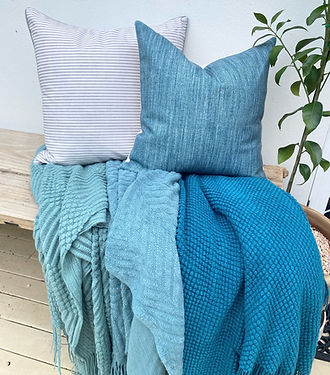 Teal Cushions and Throws