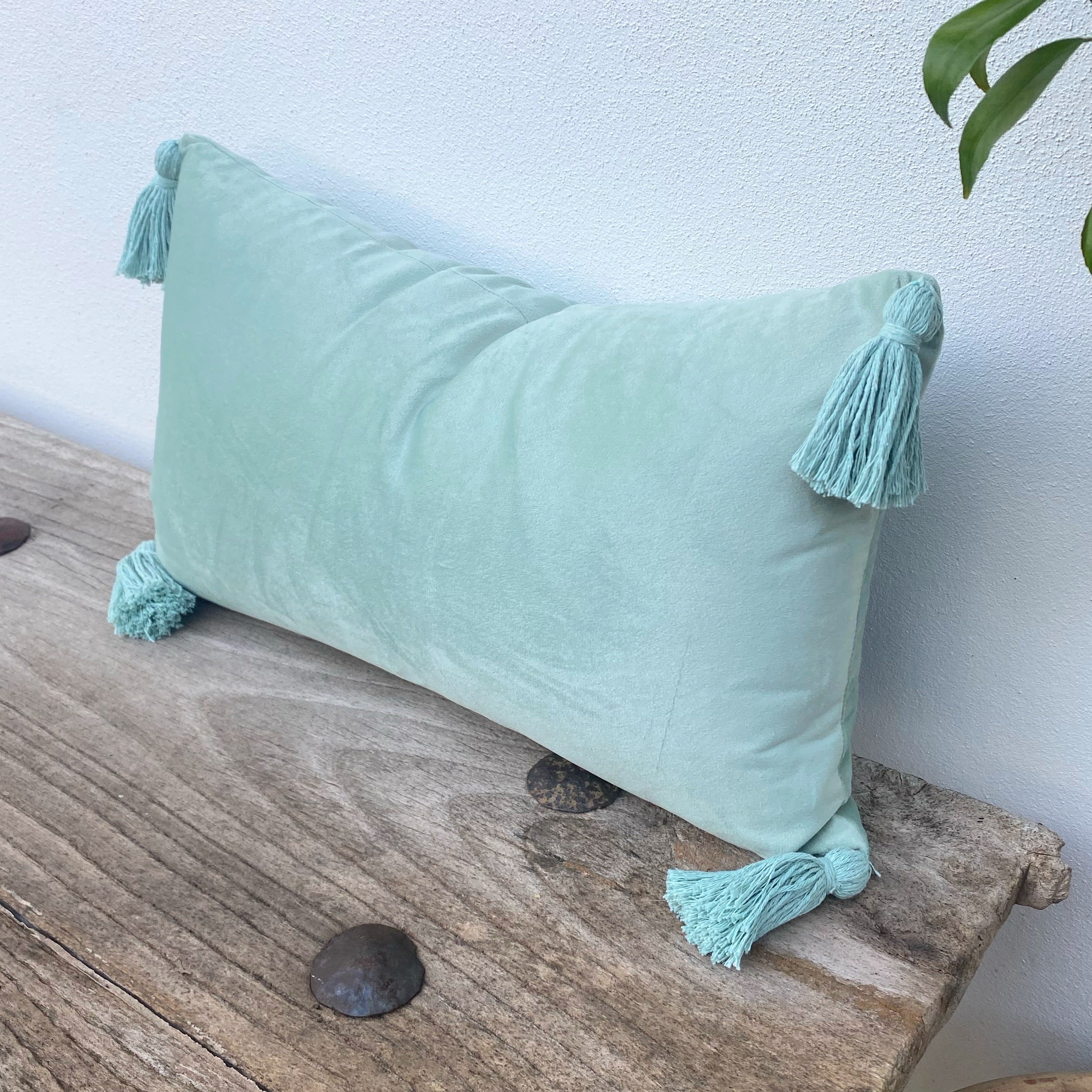 Velvet Cushion Covers with Stylish Tassel | Mint