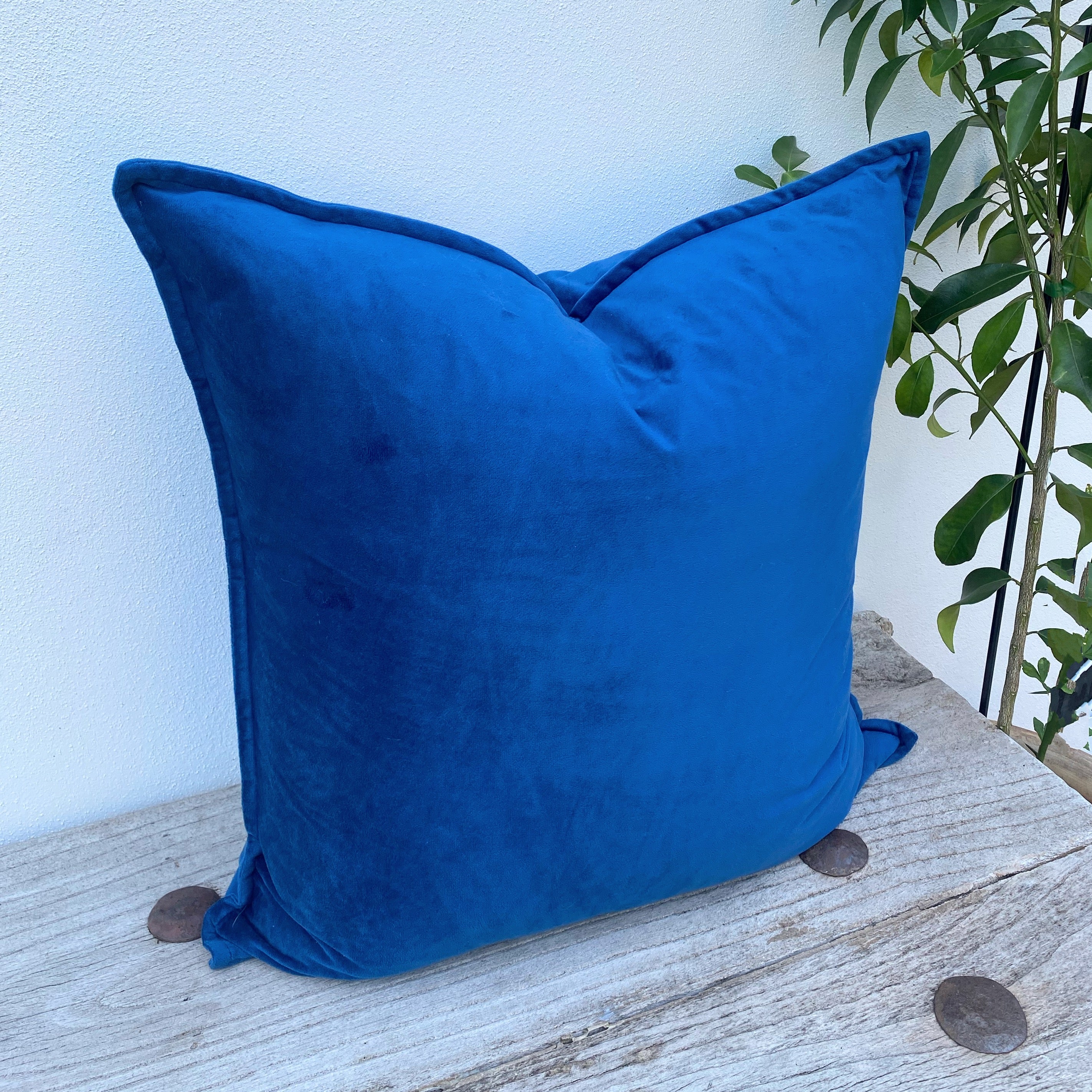 Navy Blue Velvet Cushions in Australia | Euro