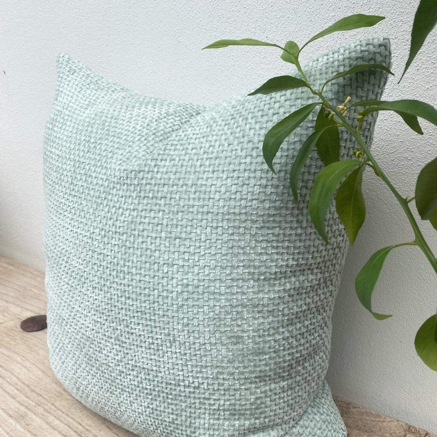 Duck Egg Blue Cushion 