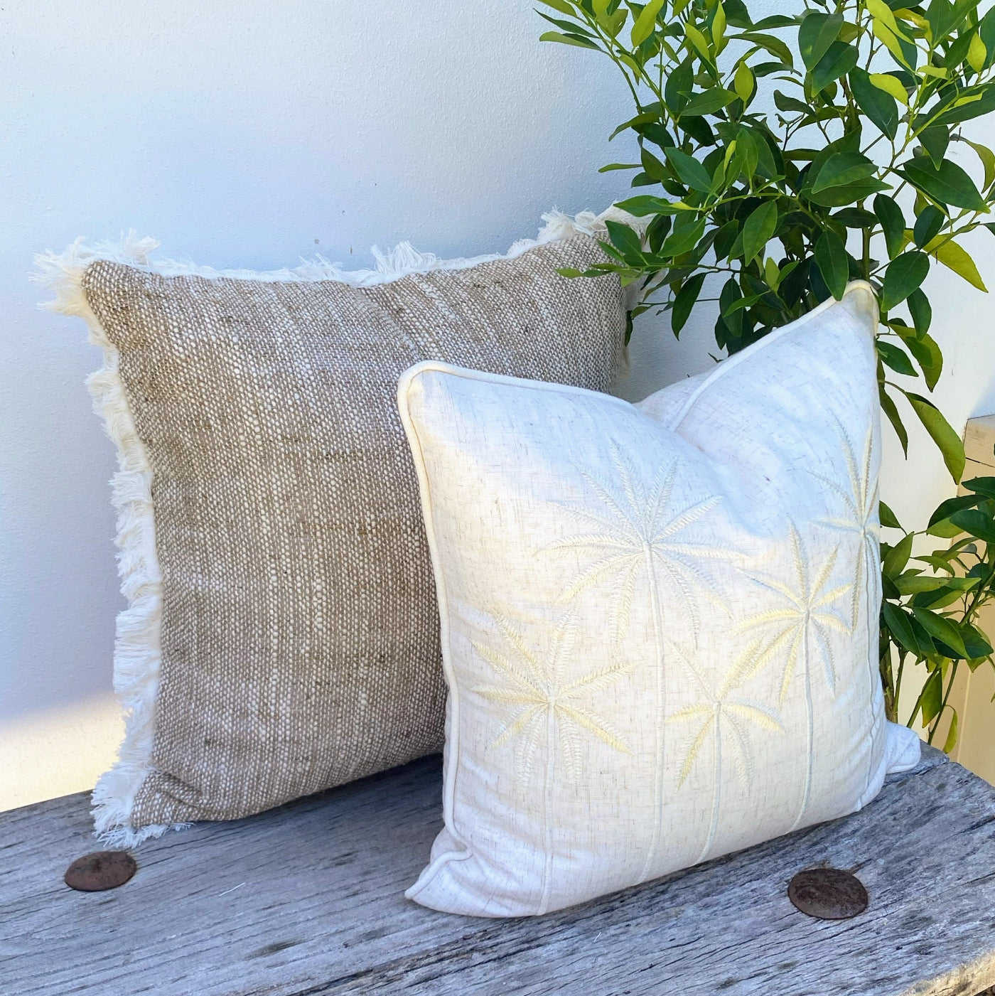 45cm Bright Cushion Set Online