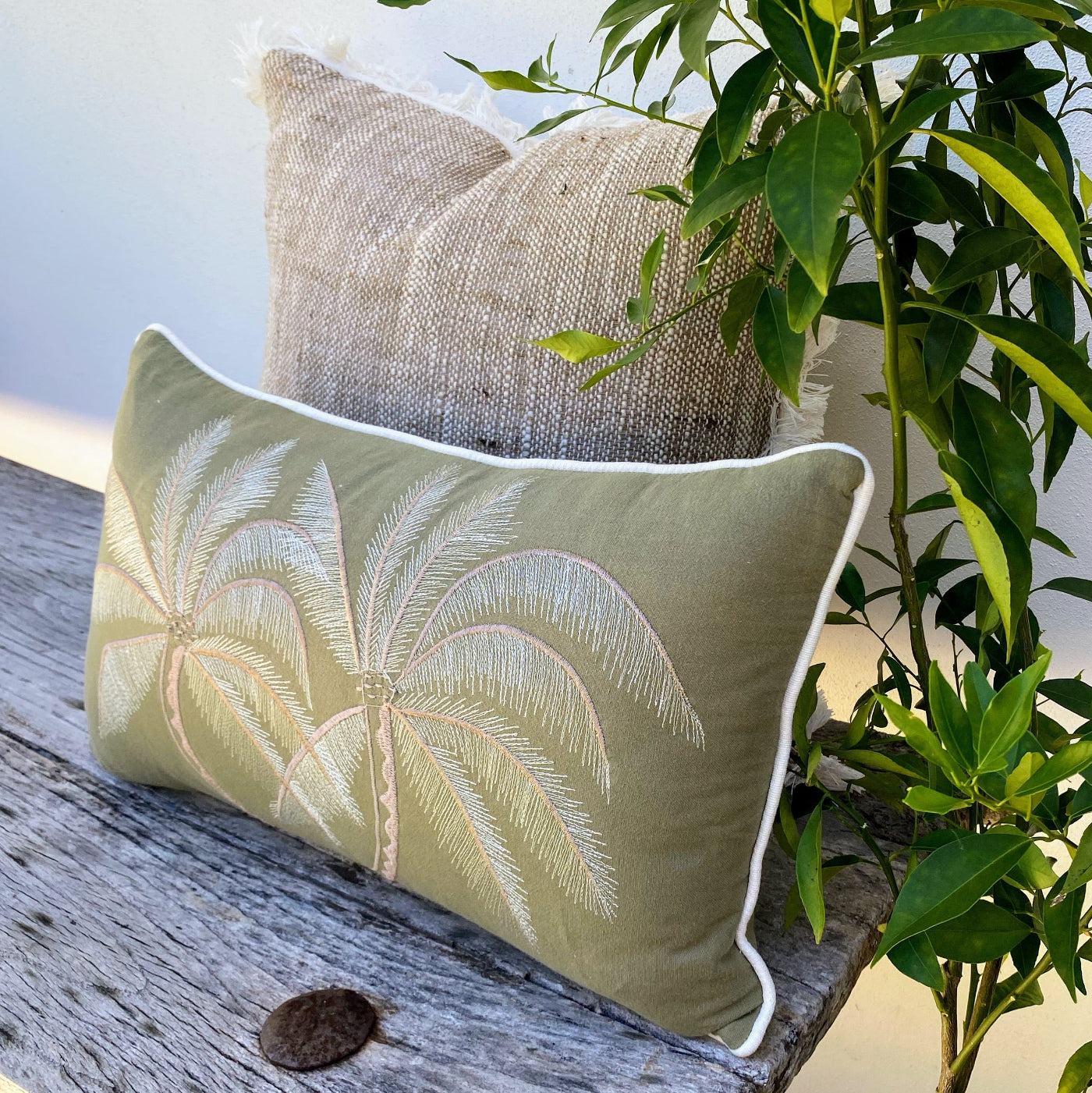 Avocado Green Cushion Cover Set to Enhance Your Decor