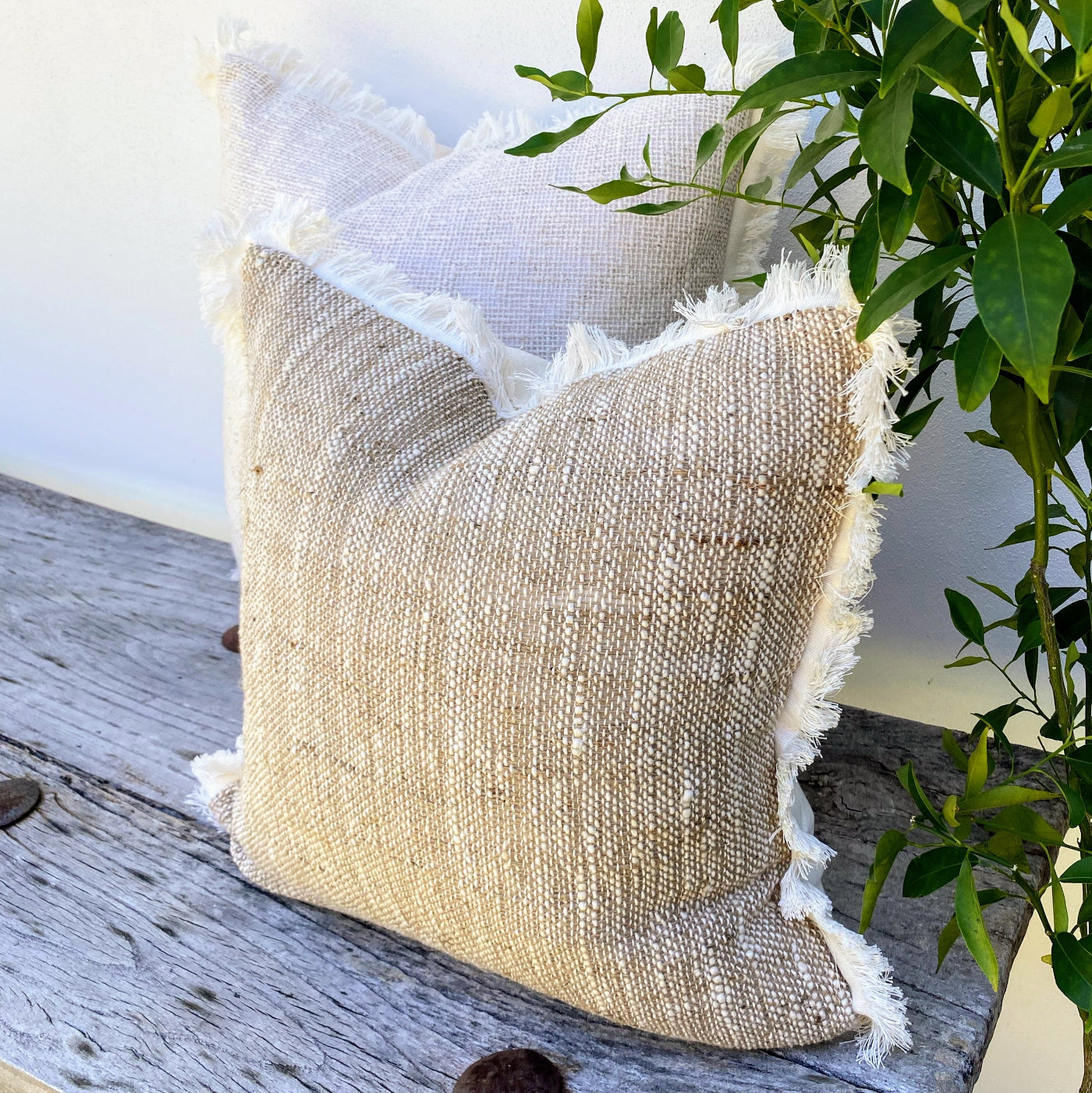 Beautiful 45cm Square Cushion with Fringed Edge