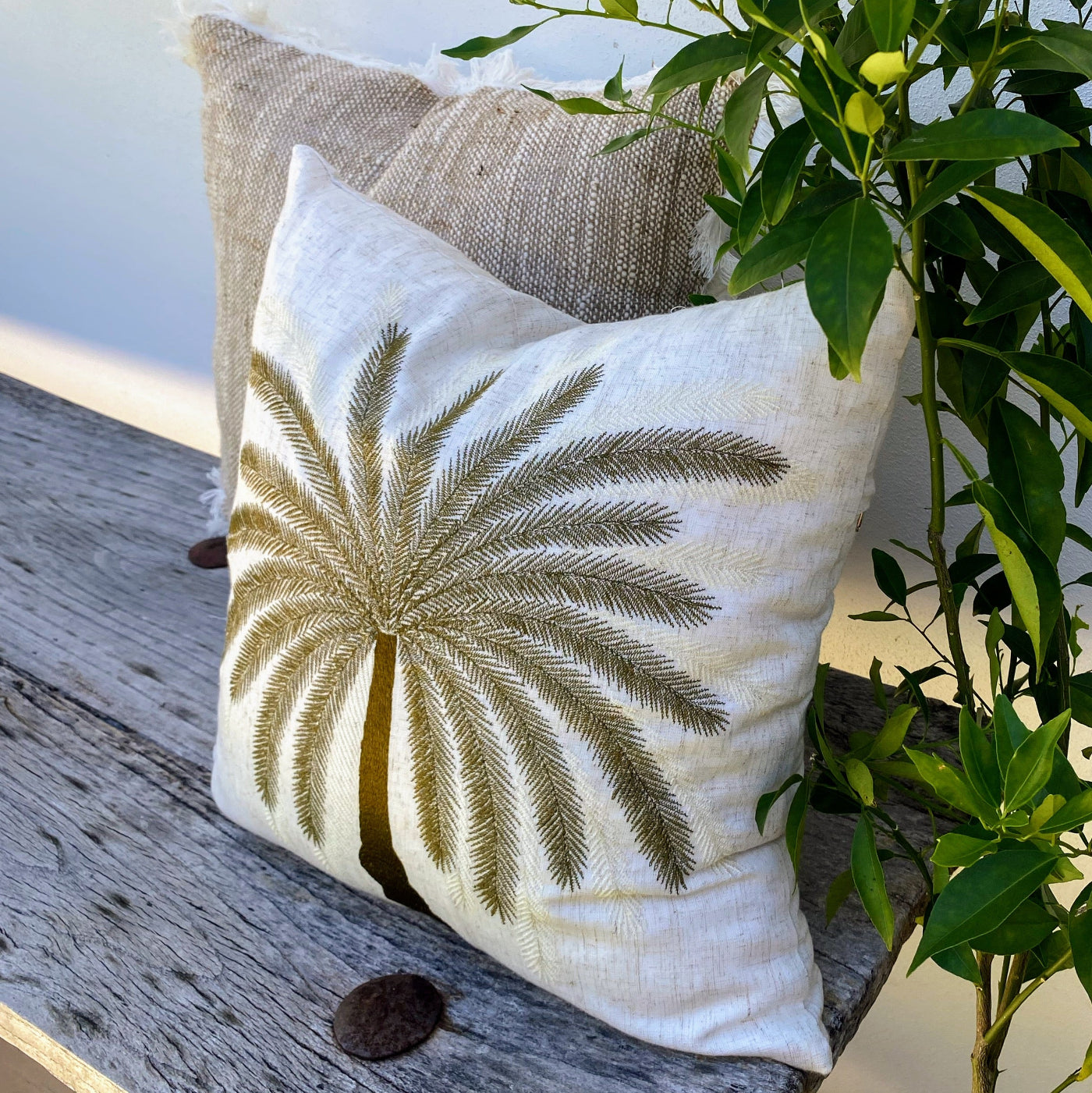 Buy High Quality and Durable Tropical Cushions​ Online