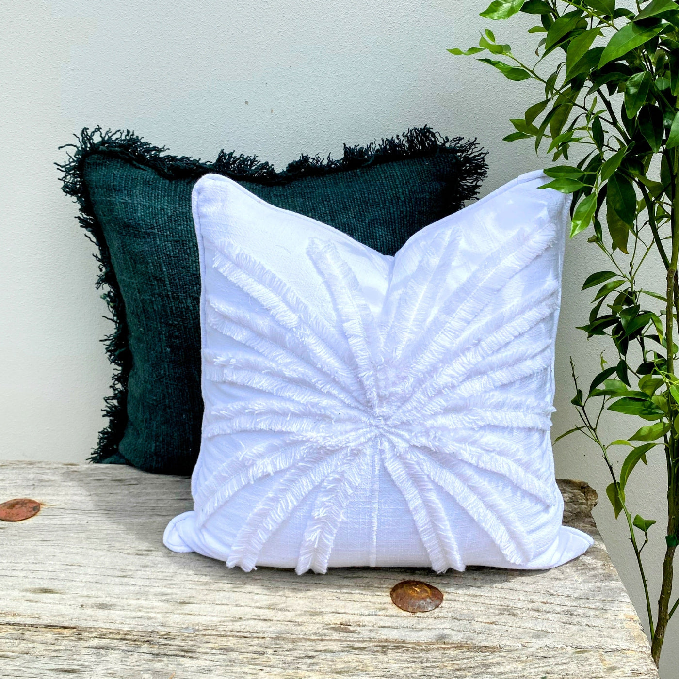 Buy White and Green Cushion at Affordable Price in Australia