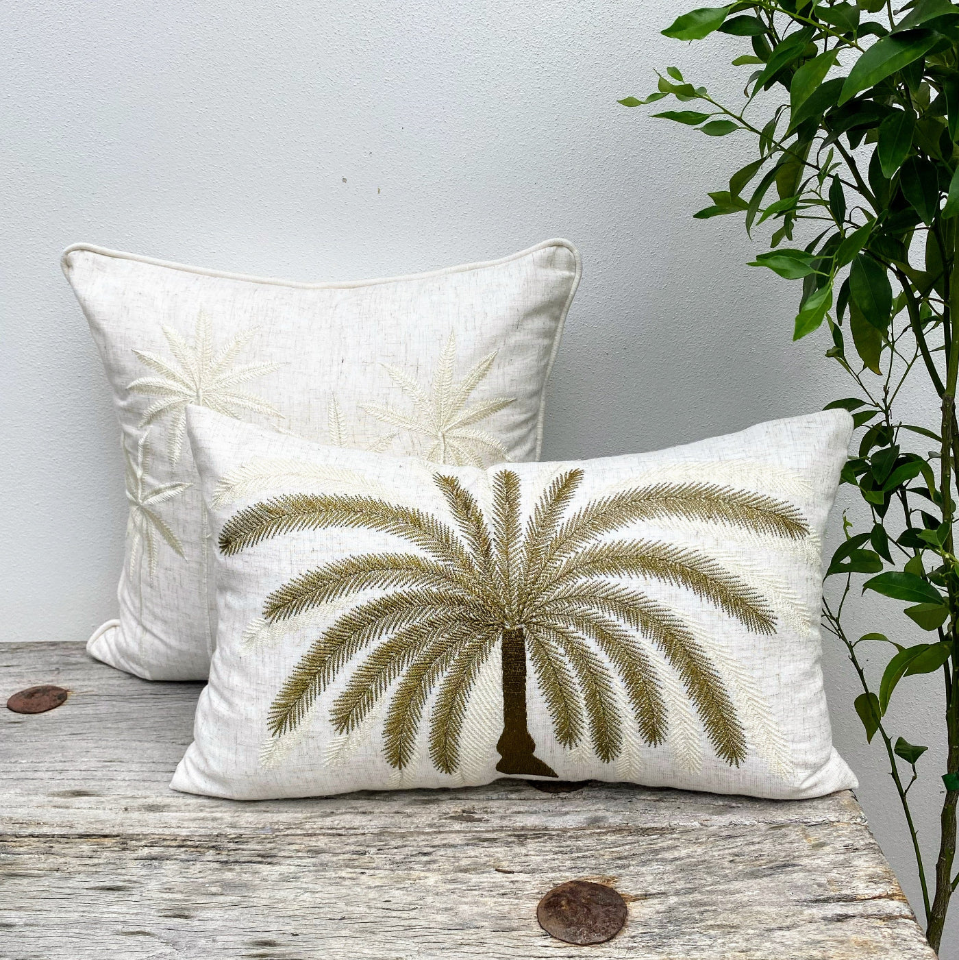 Set of Two Bright Cushion for a Warm Vibe